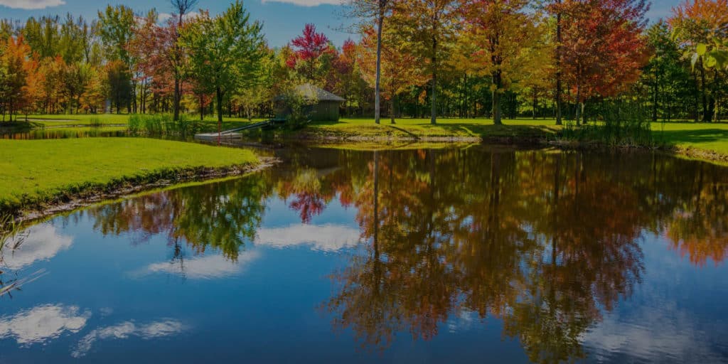 A pond surrounded by trees in the fall.