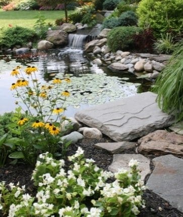 A garden with a pond and rocks.