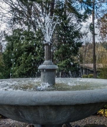 A fountain in the middle of a garden.