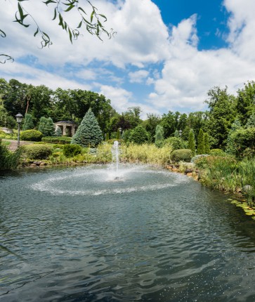 A pond with a fountain in the middle.