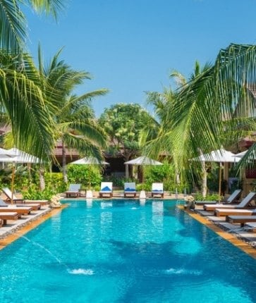 A swimming pool surrounded by palm trees and lounge chairs.