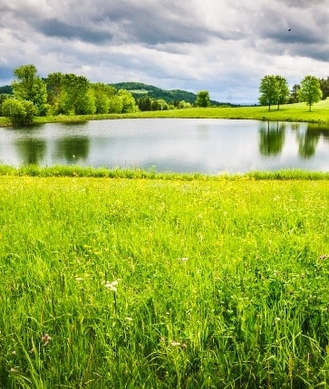 A lake in a grassy field under a cloudy sky.