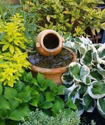 A garden with a fountain and plants around it.