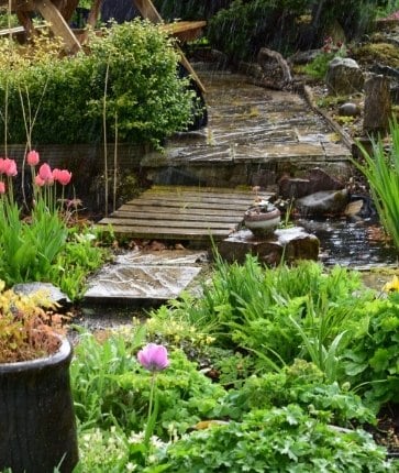 A garden with a pond and rocks in the background.