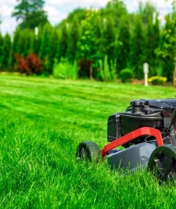 A lawn mower on a green lawn.