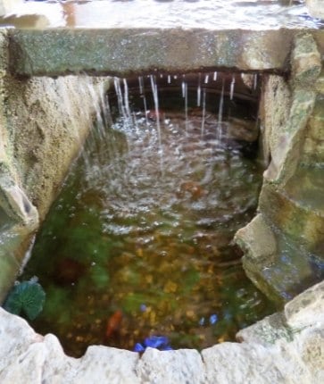 A koi pond with a waterfall in the middle.
