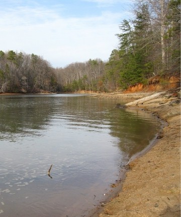 A body of water next to a wooded area.
