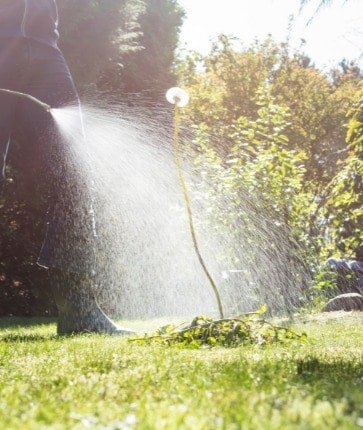 A man is spraying water on a lawn.
