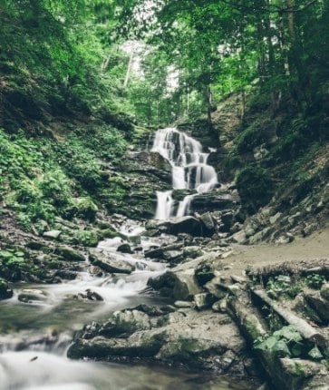 A waterfall in the middle of a wooded area.