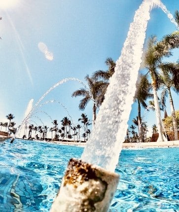 A water fountain with palm trees in the background.
