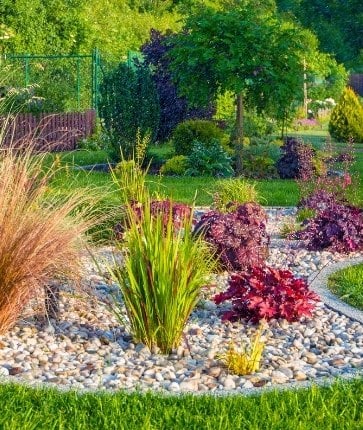 A garden with plants and rocks in the middle.