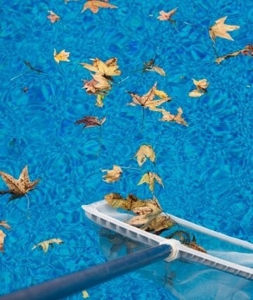 A broom with leaves floating in the pool.