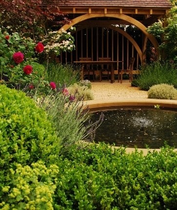 A garden with a pond and shrubs.