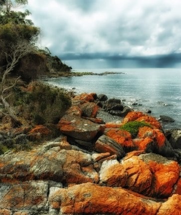 A rocky shore with orange rocks and trees under a cloudy sky.