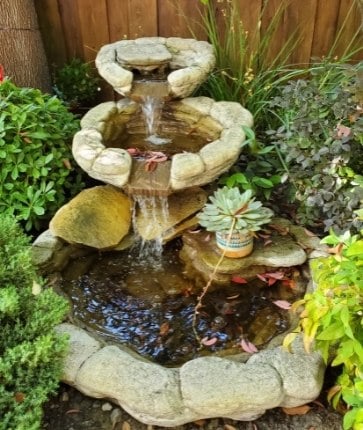 A small garden pond with rocks and plants.
