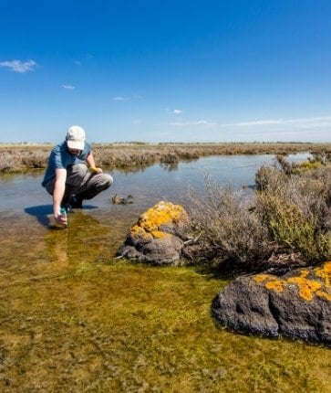 A man is kneeling in a shallow area of water.