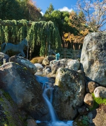 Japanese garden in san francisco, california.
