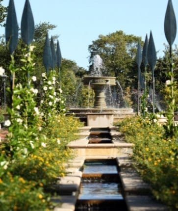 A fountain in a garden surrounded by flowers.