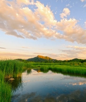 A lake surrounded by reeds and mountains at sunset.
