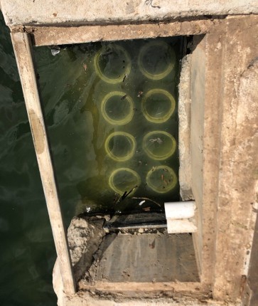 A hole in the ground with a bunch of green circles in it.