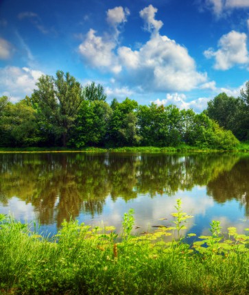 A lake surrounded by grass and trees with a blue sky.